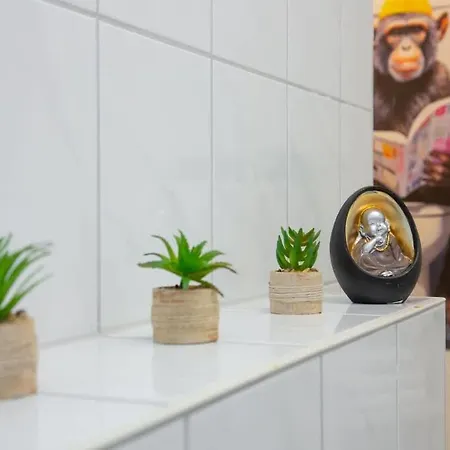 Belmonte Whirlpool-sauna-billard-kicker-kino * Bendorf