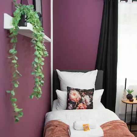 Belmonte Whirlpool-sauna-billard-kicker-kino * Bendorf