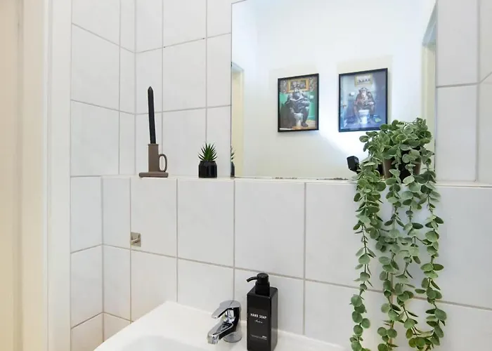 Belmonte Whirlpool-sauna-billard-kicker-kino 本多夫